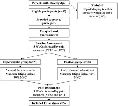 Effect of physical activity education on shoulder girdle pain and muscle strength in participants with fibromyalgia: a pilot experimental study